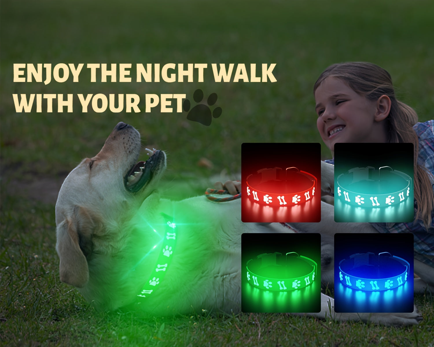 LED Dog Collar