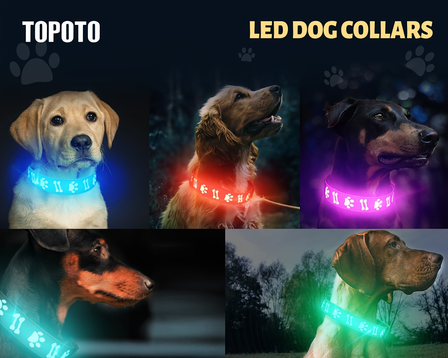 LED Dog Collar