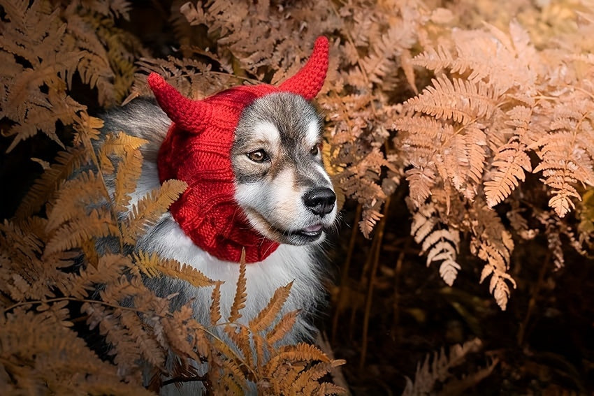 Dog & Cat Devil Horns Beanie - Cozy Knit Pet Earmuffs Ear Warmer Headband, All-Season Polyester Hat for Pets, Ideal for Winter, Halloween, Christmas Pet Accessories, Suitable for Small, Medium, Large Breeds