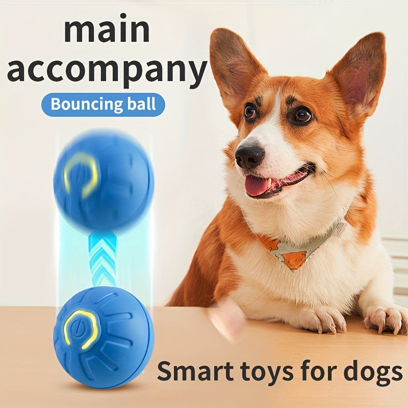 Electric smart pet, a good partner for dogs, resistant to falling and biting