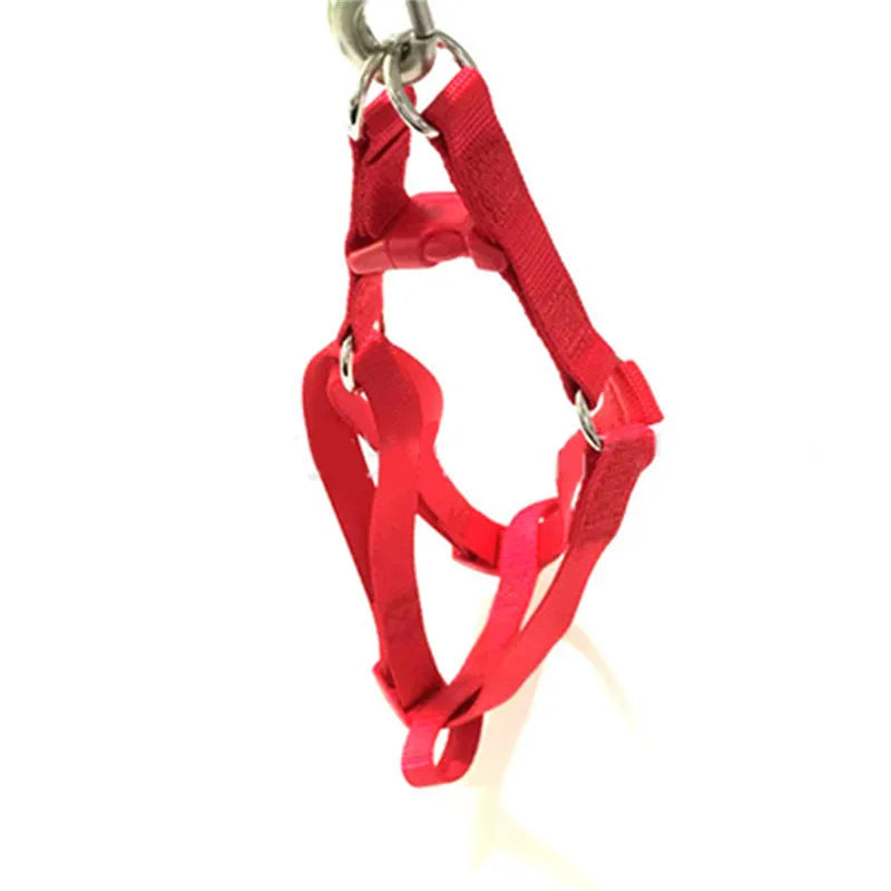 Dog Cat Harness Leash Adjustable Harness Vest Leash Collar Puppy Small Dog Outdoor Walking Chihuahua Terier Pet Supplies