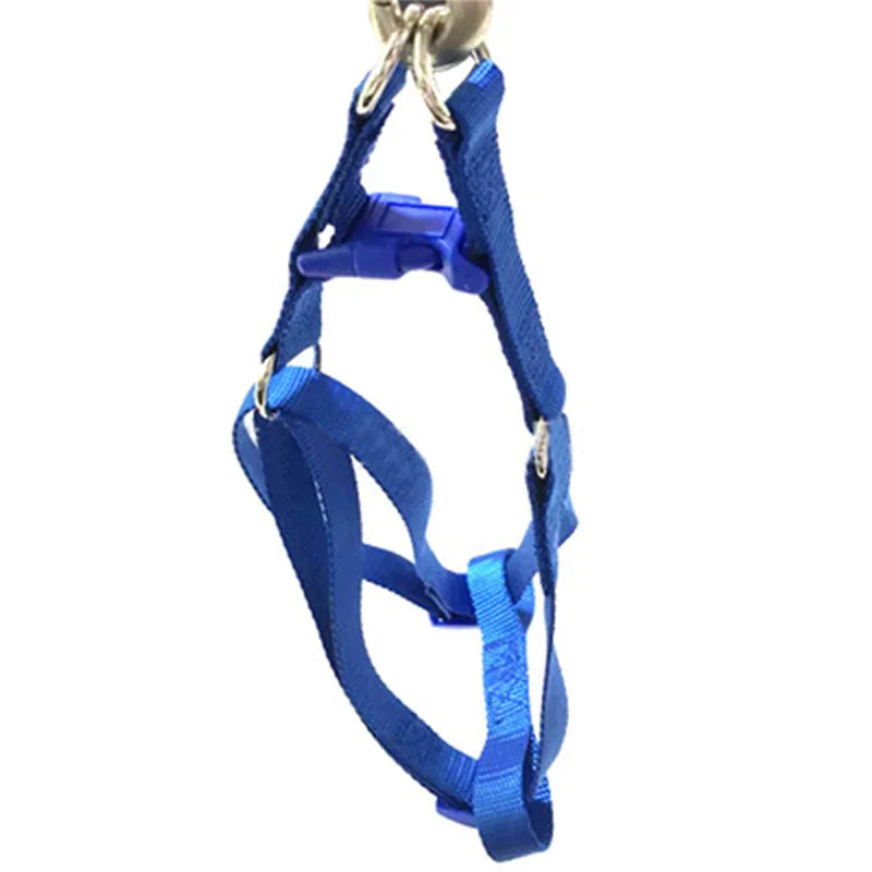 Dog Cat Harness Leash Adjustable Harness Vest Leash Collar Puppy Small Dog Outdoor Walking Chihuahua Terier Pet Supplies