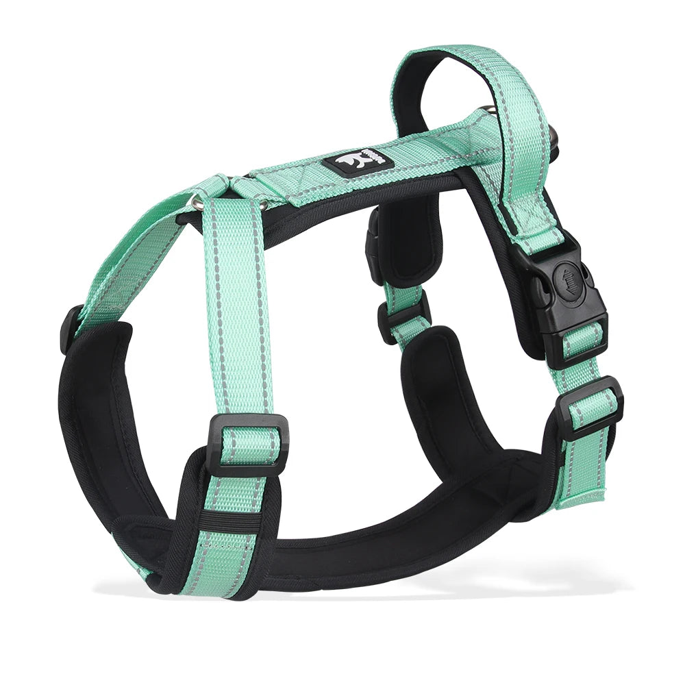 Lightweight Pet Harness with Handle Anti-Escape Dog Vest for Small Medium Dogs Puppy Chest Straps Chihuahua Pug Pet Supplies
