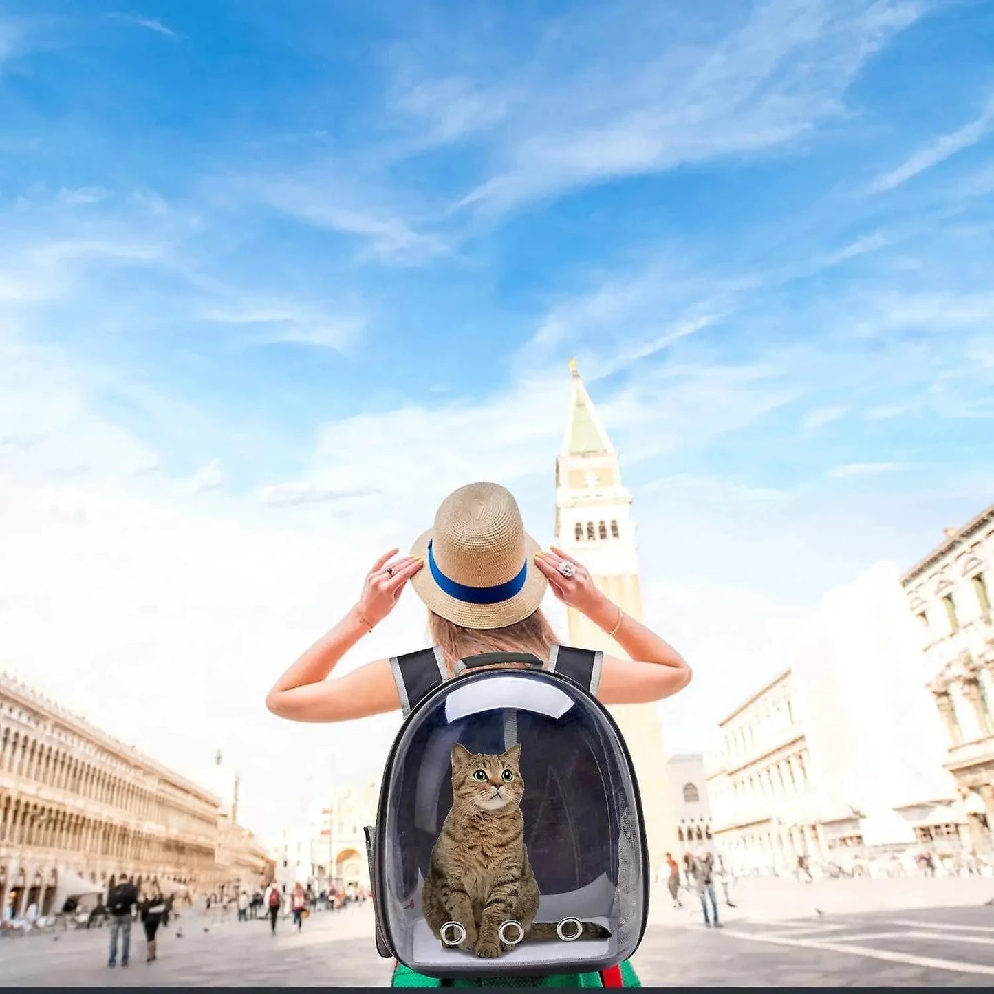 Cat Pet Carrier Backpack - Transparent Capsule Bubble Design, Breathable for Small Animals (Puppy/Kitty/Bird), Ideal for Travel