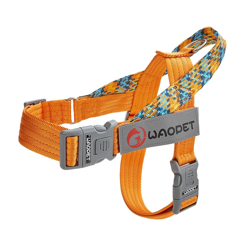 Pet Fashion Dog Harnesses For Medium And Large Walking Dogs Portable New Design Safety Chest Harness Colorful Collar Accessories