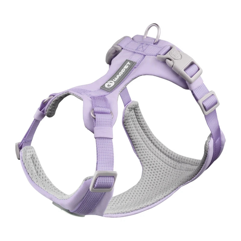 Adjustable Pet Care Harness for Small Dogs, Puppy, Cat Vest, French Bulldog, Chihuahua, Pug Outdoor Walking Lead, Leash