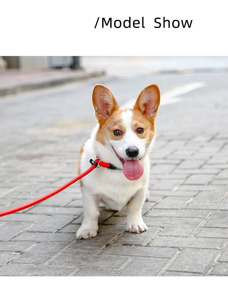 Dog Collar P Chain for Dog Walking Adjustable Dogs Collar P Rope Pet Collars Nylon Dogs Harness Puppy Training Rope Pet Supplies