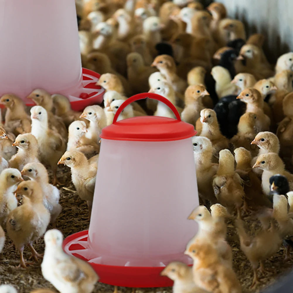 Plastic 1.5Kg/3Kg Chicken Feeder & Chicken Drinker Farm Animal Poultry Automatic Feeding Supplies Chicken Feed and Water Bucket