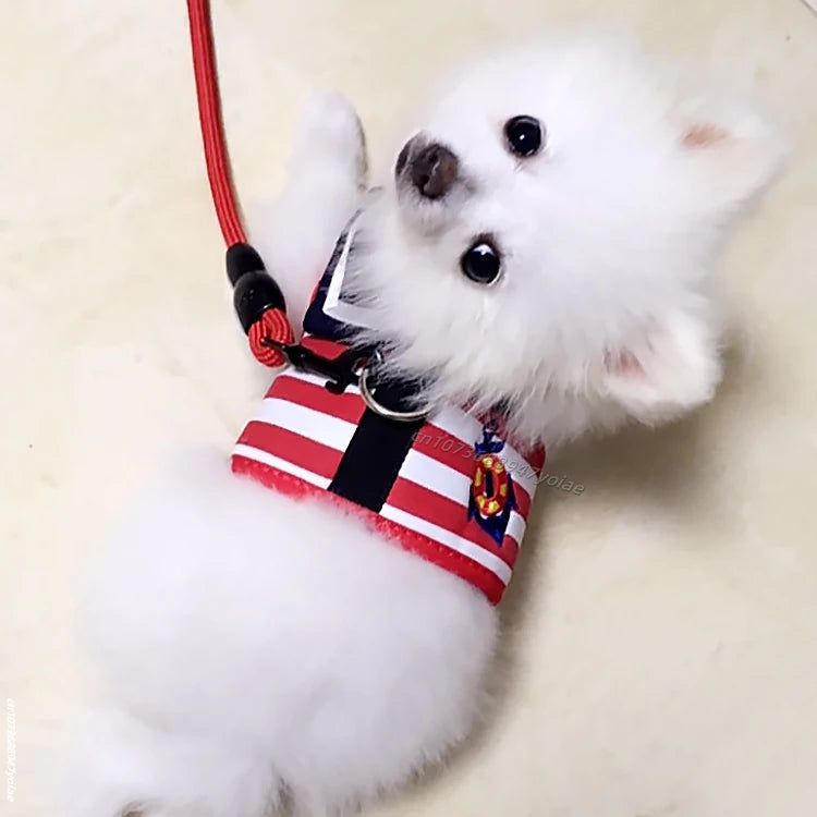 Pet Dog Harness Soft Breathable Navy Style Leash Set For Small Medium Dogs Chihuahua Puppy Collar Cat Pet Dog Chest Strap Leash