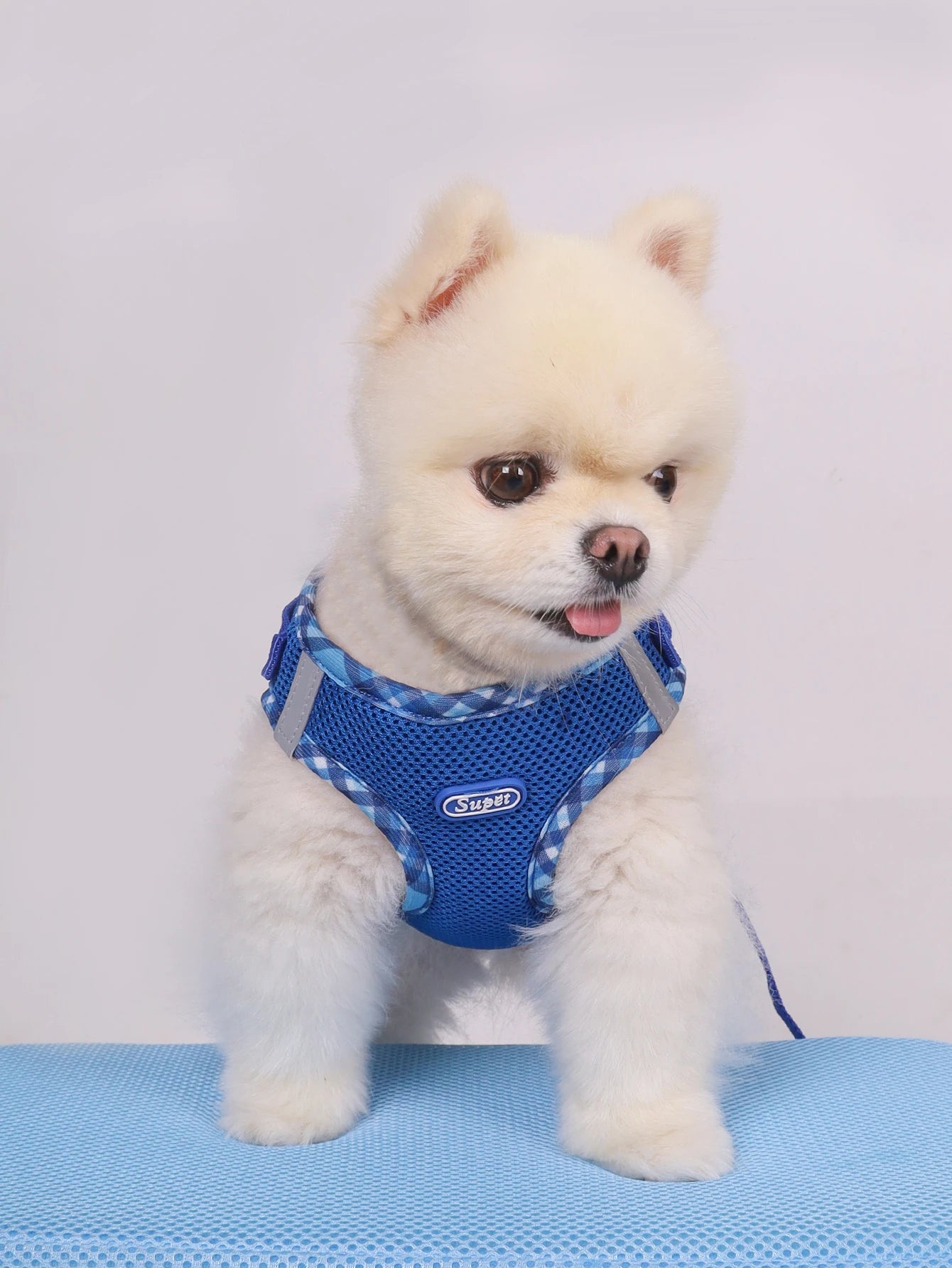 1pc Dog Harness, Anti-Pull, Pet Harness, Adjustable, Easy to Control, Suitable for Small, Medium Dogs
