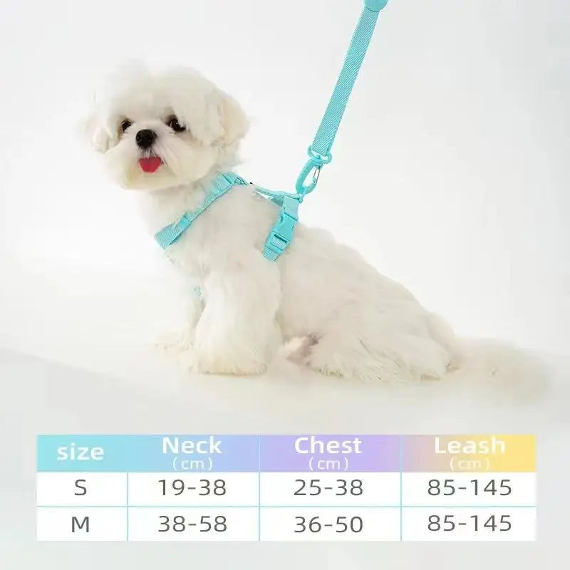 Adjustable Puppy Harness Set, Reflective Dog Collar & Leash for Small Dogs 2-6kg, Macaron Color Cat Safe Walking Gear