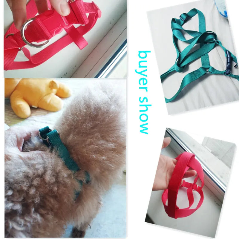 Dog Cat Harness Leash Adjustable Harness Vest Leash Collar Puppy Small Dog Outdoor Walking Chihuahua Terier Pet Supplies
