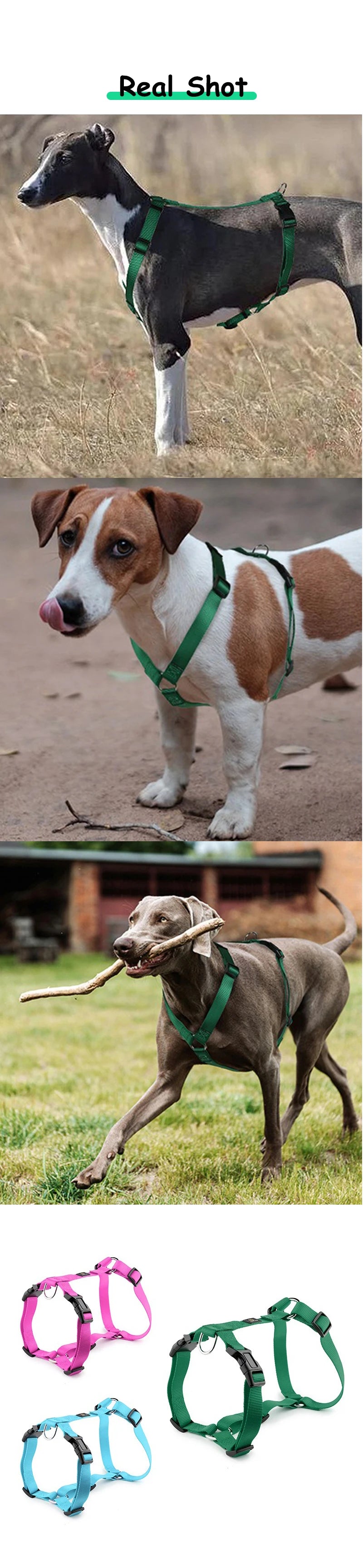 Husky H-Shaped Pet Dog Harness Explosion-Proof Soft Chest Strap Medium Large Dog Traction Durable Nylon Pet Leash Accessories