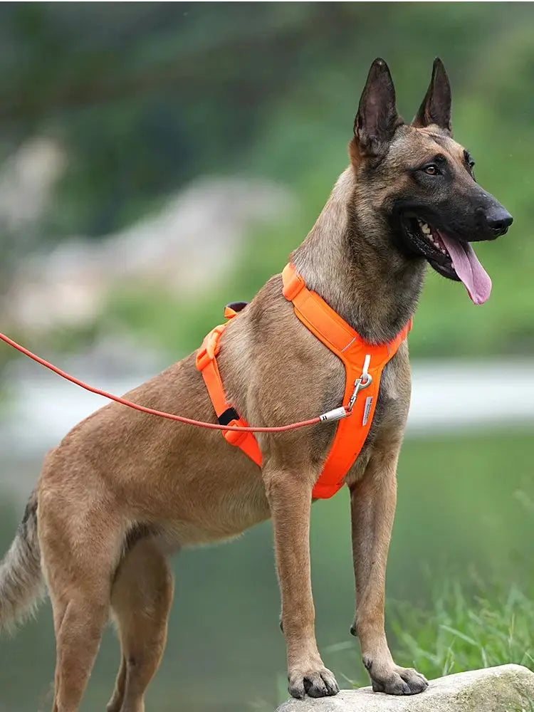 Pet Harness No Pull Reflective Dog Harness for Small Medium Large Dog Vest Adjustable Breathable Outdoor Travel dog accessories