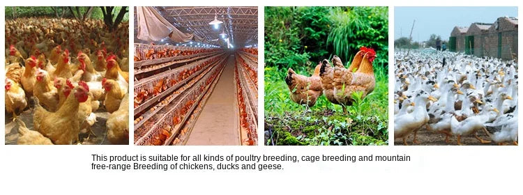 Chicken Duck Goose Broiler Plasson Drinker Plastic Poultry Waterer Automatic Fountaion Kettle Drinking Watering line Supplies