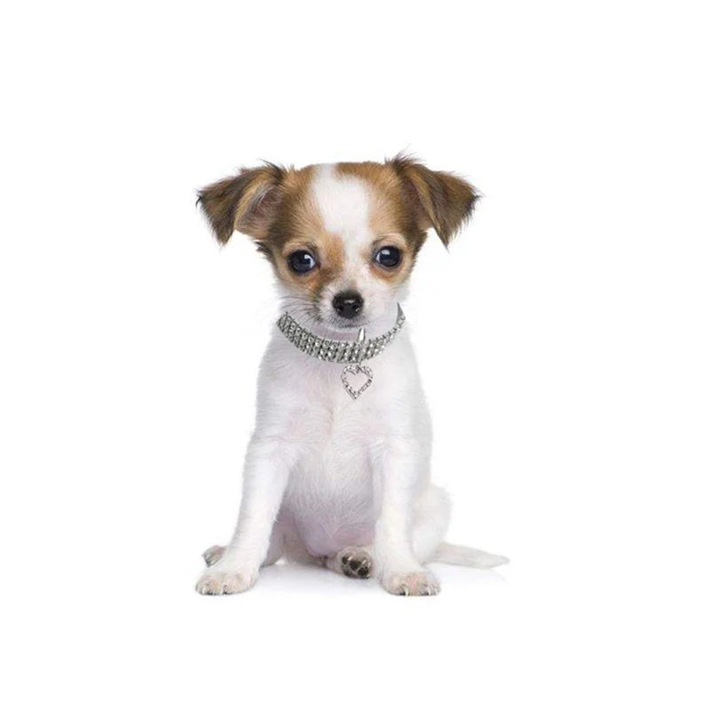 Bling Rhinestone Dog Collar Crystal Puppy Chihuahua Pet Dog Collars Leash For Small Medium Dogs Mascotas Accessories S M L Pink