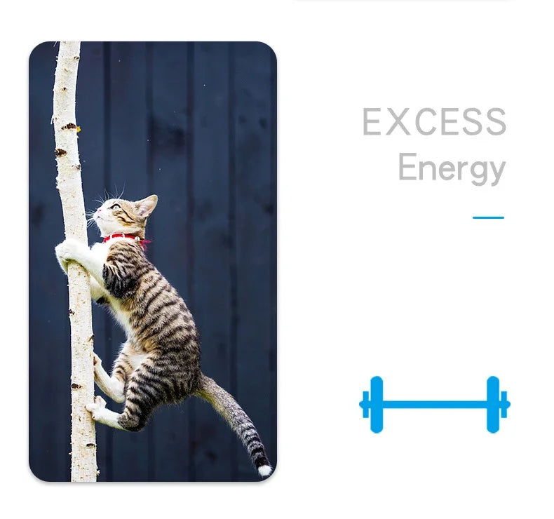 Mini juguete eléctrico para mascotas, perros y gatos, interactivo, con forma de mariquita y escarabajo, ideal para pasear, jugar o jugar.