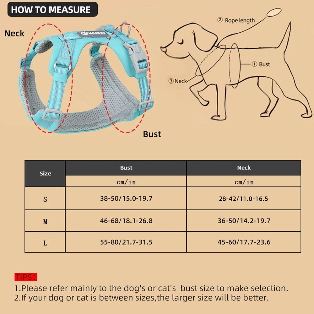 Adjustable Pet Care Harness for Small Dogs, Puppy, Cat Vest, French Bulldog, Chihuahua, Pug Outdoor Walking Lead, Leash