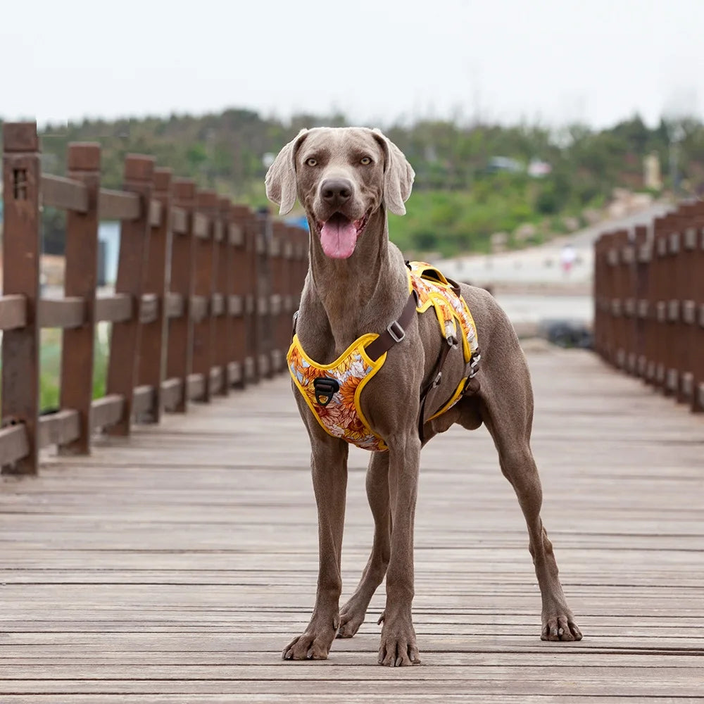 NO PULL Pet Dog Harness Adjustable Reflective Dog Chest Vest For Small Large Dogs Outdoor Training Protective Pet Supplies