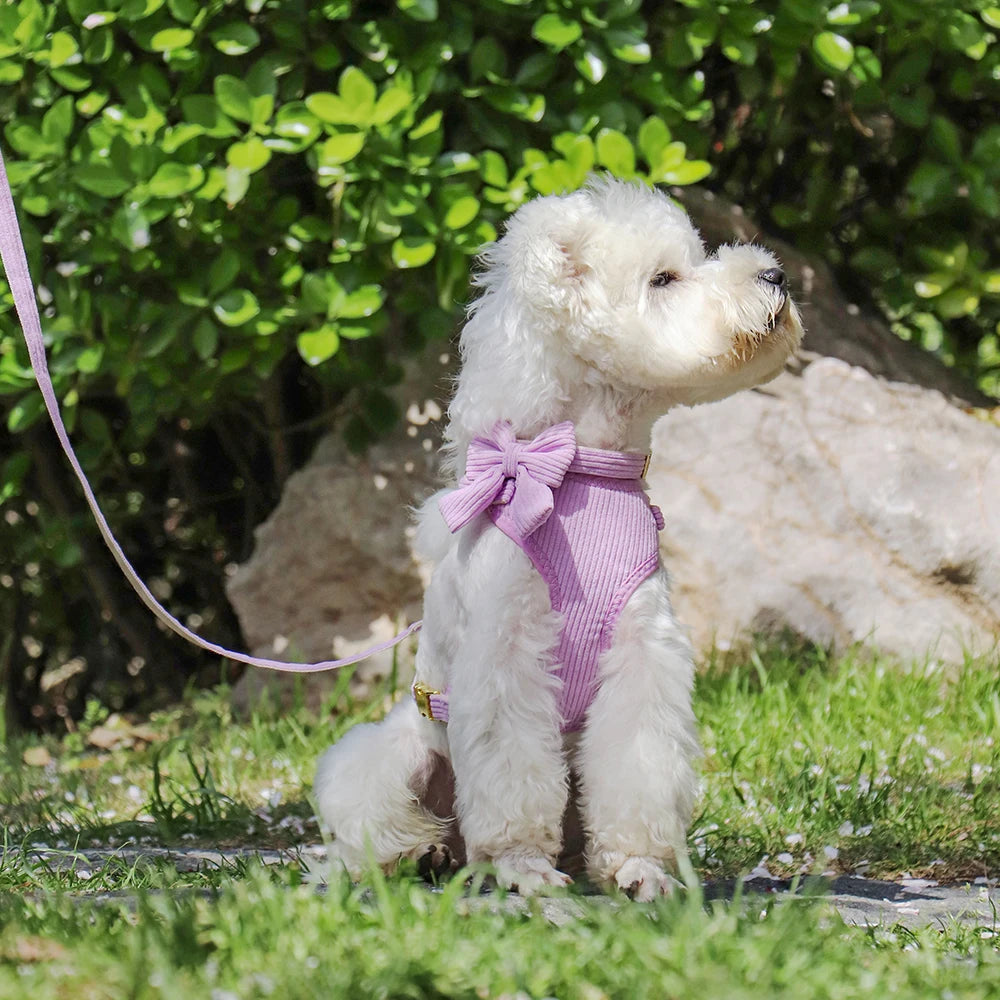 3PCS Dog Collar Harness Leash Set Breathable Dog Harnesses Soft Velvet Puppy Necklace With Bowknot Pet Walking Rope For Dogs Pug