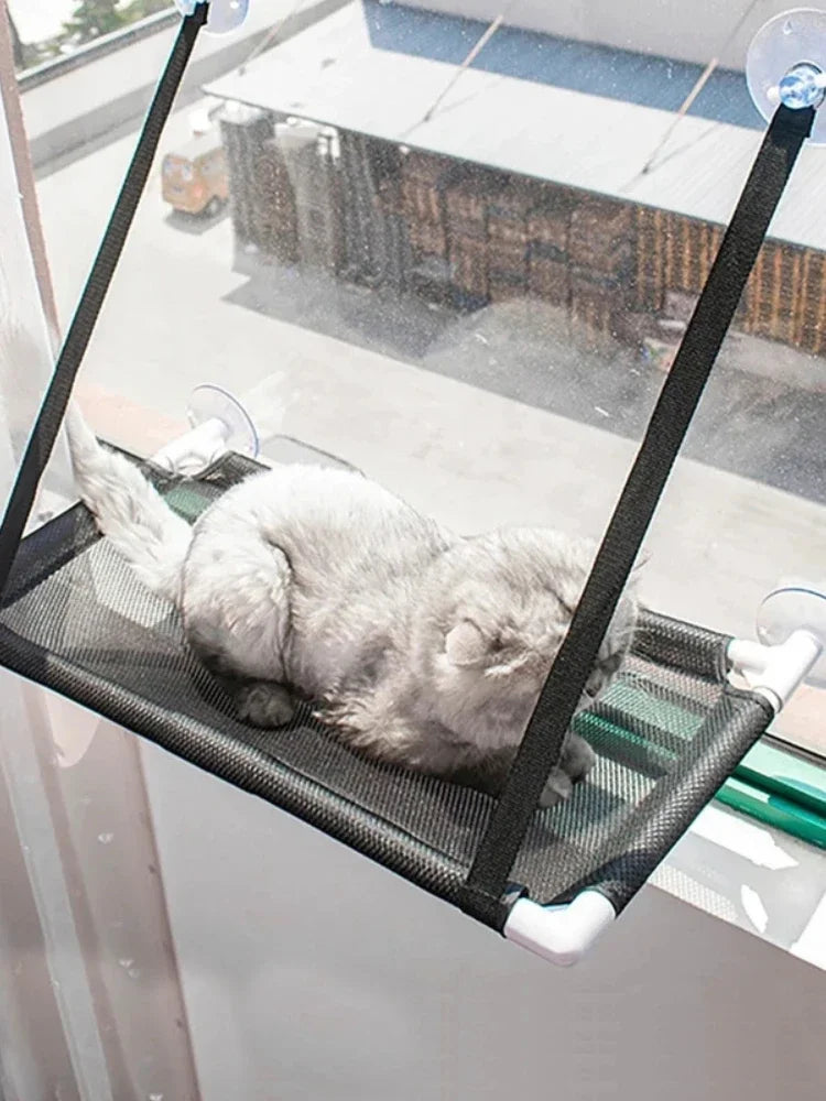 Cat Hammock Pet Summer Hammock Window Bed Home Bed Living Room Suction Cup Wall Hanging Pet Mesh Breathable Hammock Bed