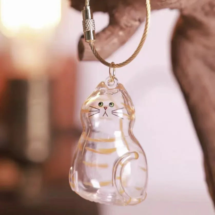 Pet Hair Storage Box Transparent Keepsake Container for Cat Fur DIY Decoration Memorial Gift for Pet Lovers Home Display Use