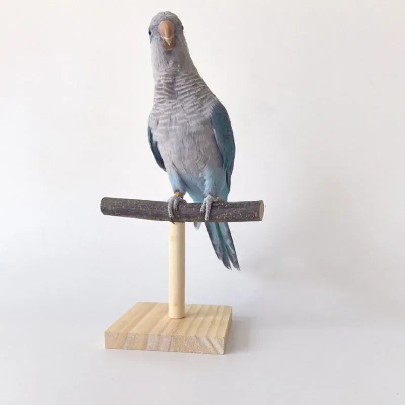 Natural Desktop Stand Pet Parrot Raw Wood Fork Tree Branch Stand Rack Squirrel Bird Hamster Branch Perches Chew Bite Toys Stick