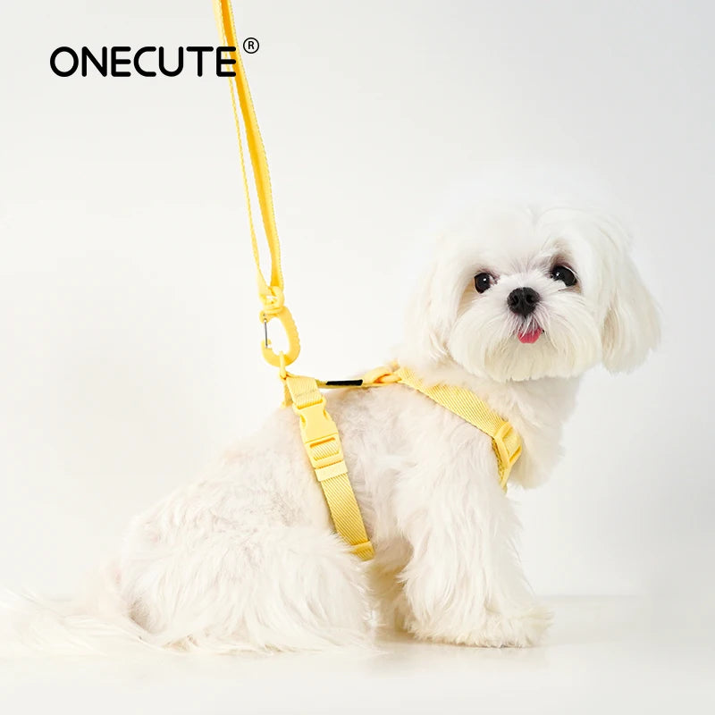 Adjustable Puppy Harness Set, Reflective Dog Collar & Leash for Small Dogs 2-6kg, Macaron Color Cat Safe Walking Gear