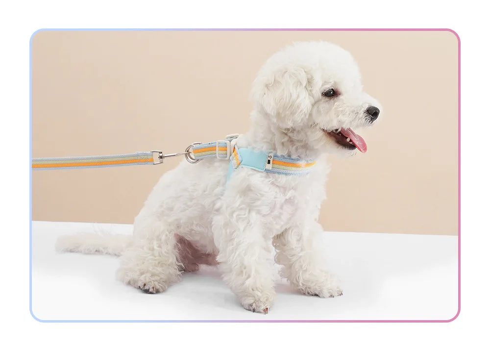 3PCs Pet Dog Harness Leash Set with Bags Adjustable V-shaped Puppy Harness Striped Breathable Dog Chest Strap Dog Accessories