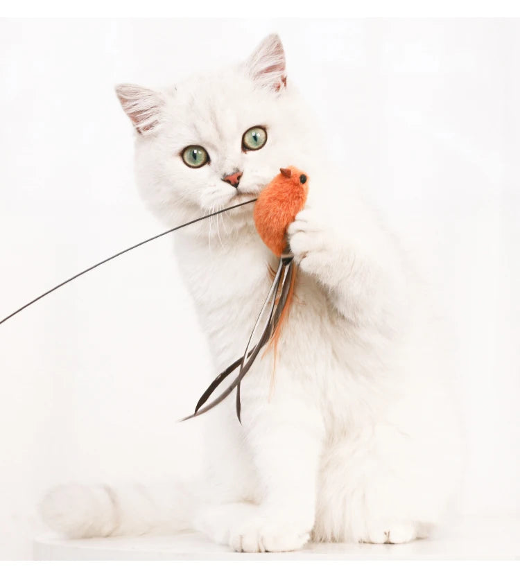 Simulation Bird interactive Cat Toy Funny Feather Bird with Bell Cat Stick Toy for Kitten Playing Teaser Wand Toy Cat Supplies