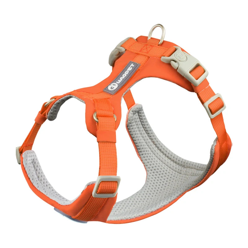 Adjustable Pet Care Harness for Small Dogs, Puppy, Cat Vest, French Bulldog, Chihuahua, Pug Outdoor Walking Lead, Leash