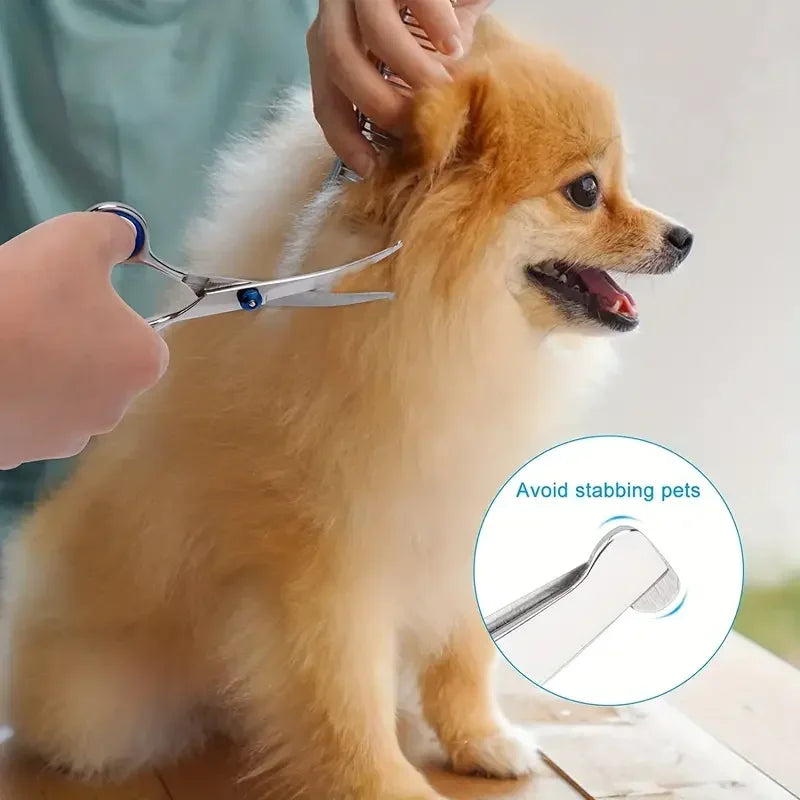 Ambidextrous Pet Safe Scissors Stainless Steel Dog Grooming Shears with round Head for Precision Trimming