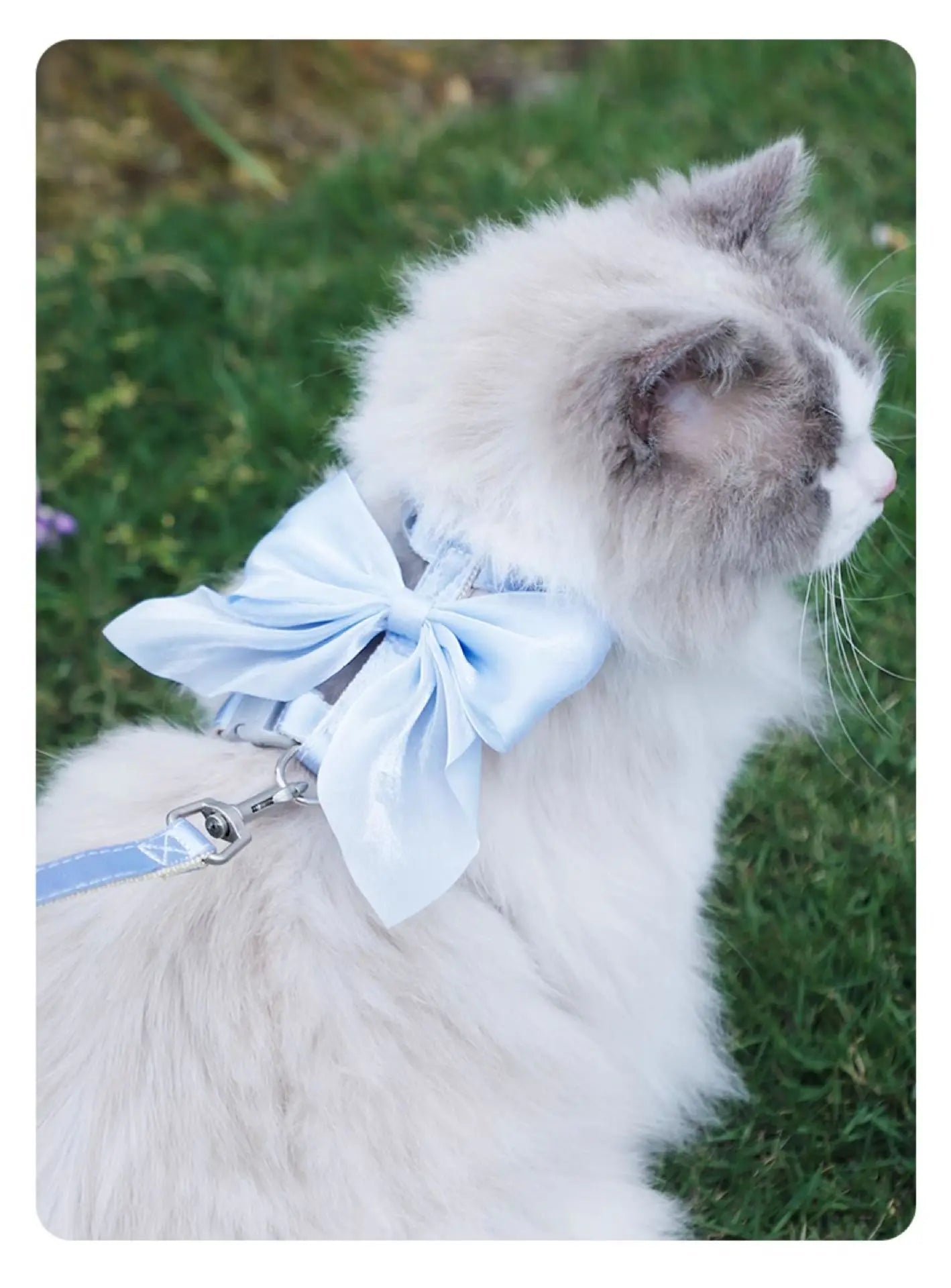 Adjustable Pet Harness with Traction Rope for Cat Kitten Puppy Rabbit Ferret Cute Cat Harness Leash Cat Harness Leash forWalking