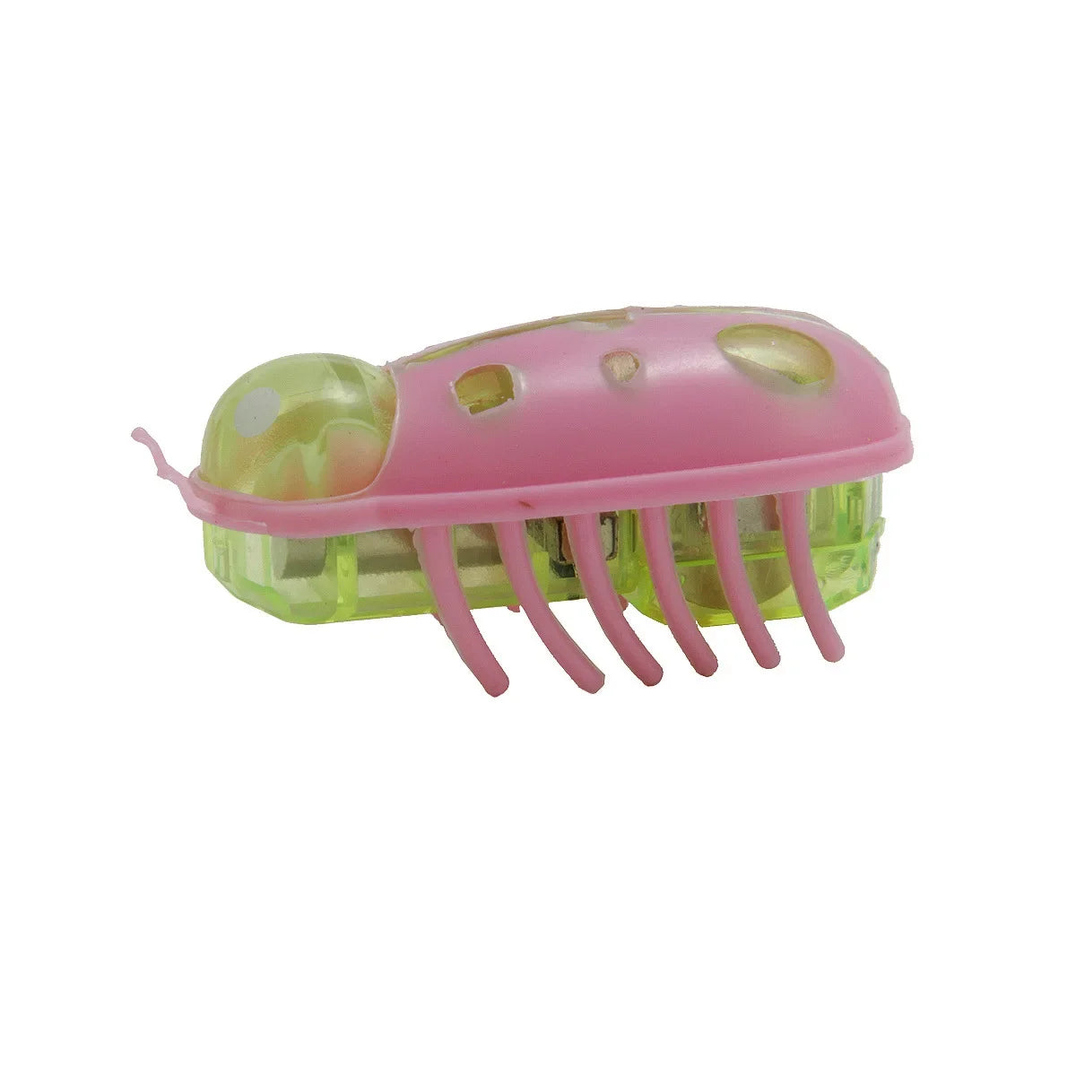Mini juguete eléctrico para mascotas, perros y gatos, interactivo, con forma de mariquita y escarabajo, ideal para pasear, jugar o jugar.