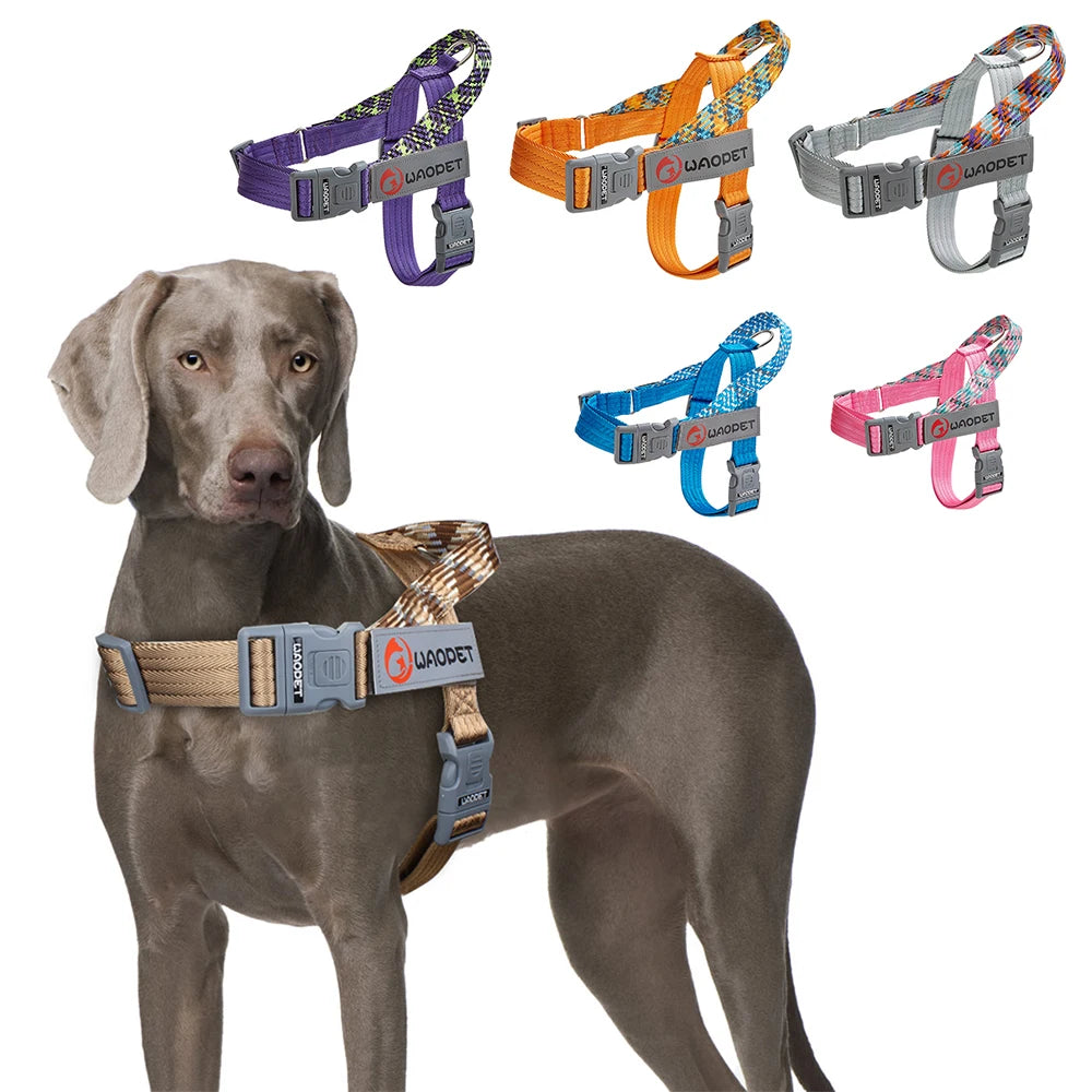 Pet Fashion Dog Harnesses For Medium And Large Walking Dogs Portable New Design Safety Chest Harness Colorful Collar Accessories