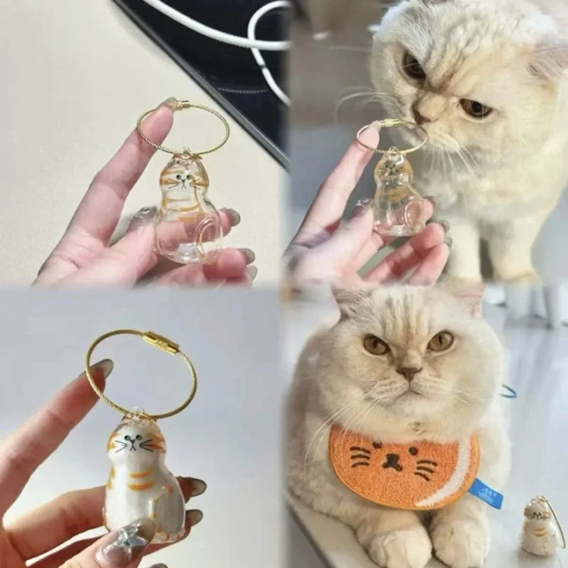 Pet Hair Storage Box Transparent Keepsake Container for Cat Fur DIY Decoration Memorial Gift for Pet Lovers Home Display Use