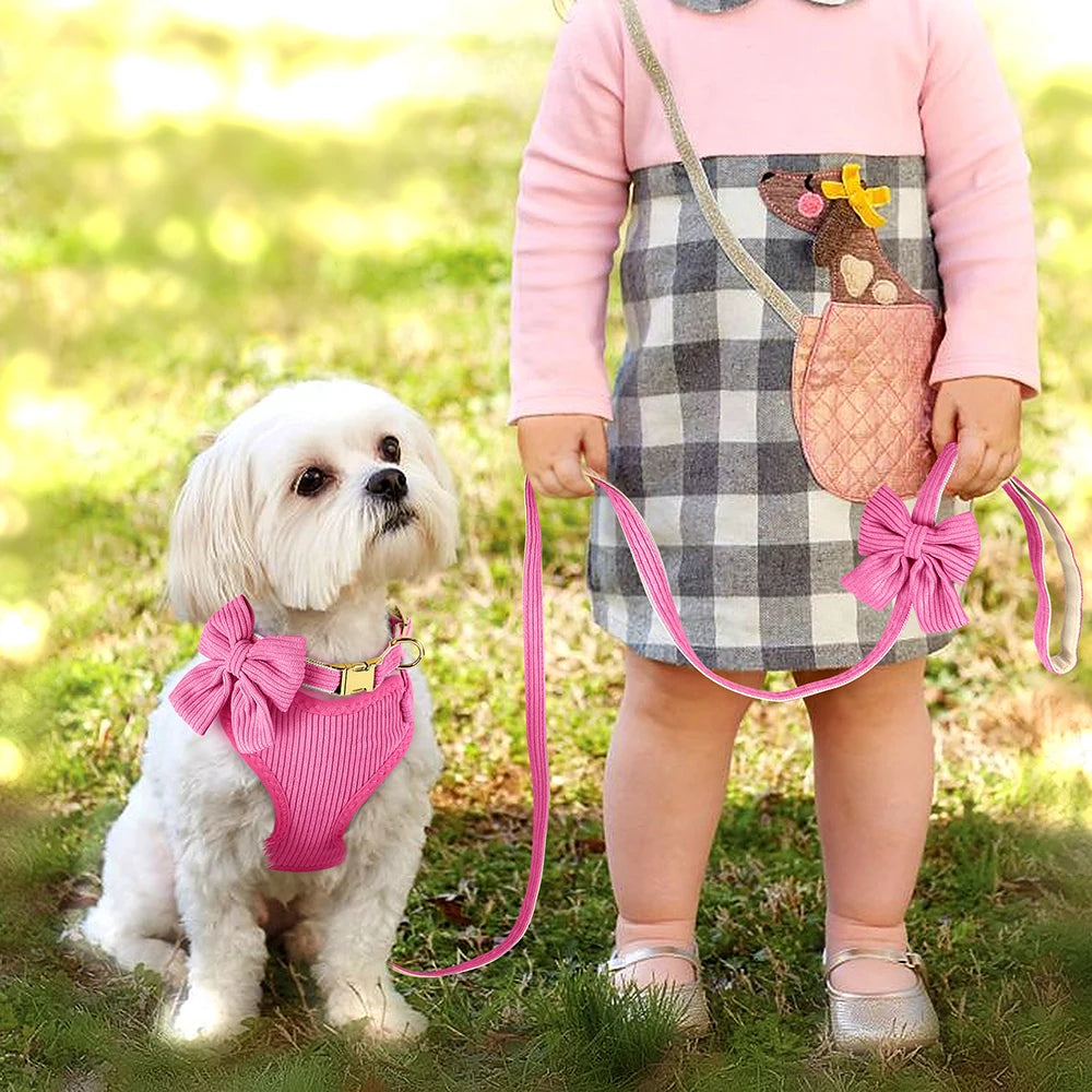 3PCS Dog Collar Harness Leash Set Breathable Dog Harnesses Soft Velvet Puppy Necklace With Bowknot Pet Walking Rope For Dogs Pug