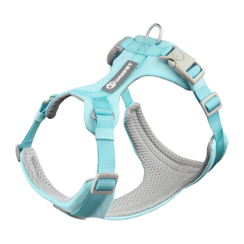 Adjustable Pet Care Harness for Small Dogs, Puppy, Cat Vest, French Bulldog, Chihuahua, Pug Outdoor Walking Lead, Leash