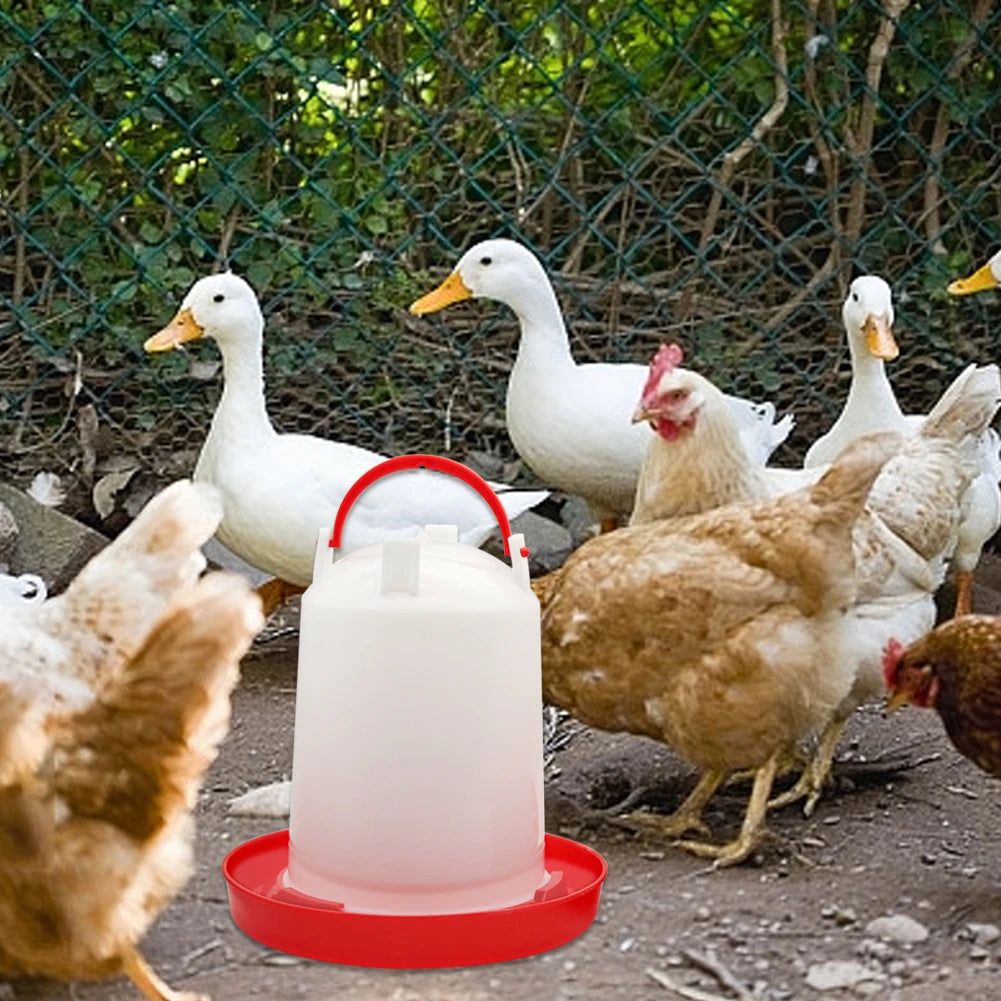 Plastic 1.5Kg/3Kg Chicken Feeder & Chicken Drinker Farm Animal Poultry Automatic Feeding Supplies Chicken Feed and Water Bucket
