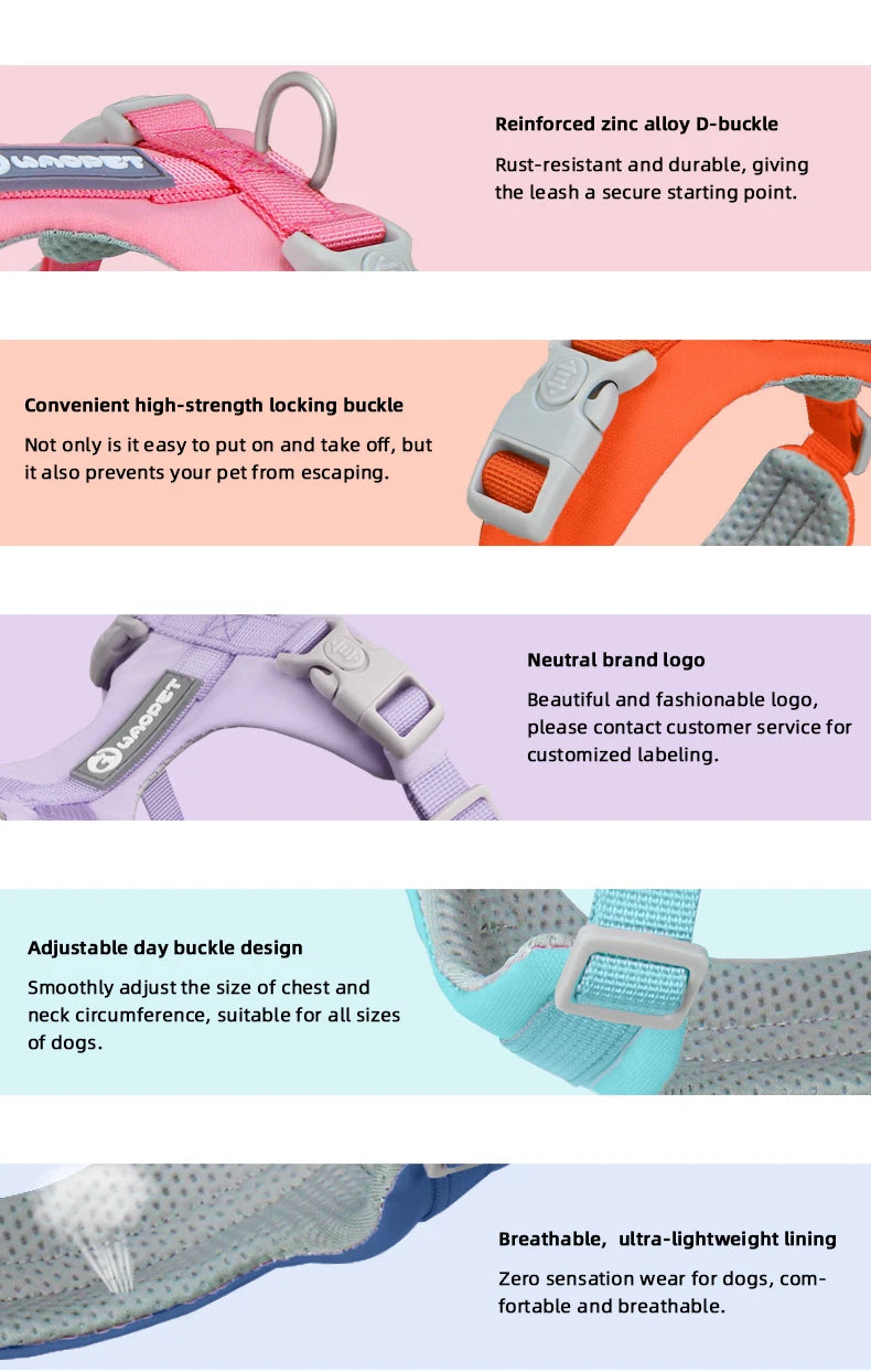 Adjustable Pet Care Harness for Small Dogs, Puppy, Cat Vest, French Bulldog, Chihuahua, Pug Outdoor Walking Lead, Leash