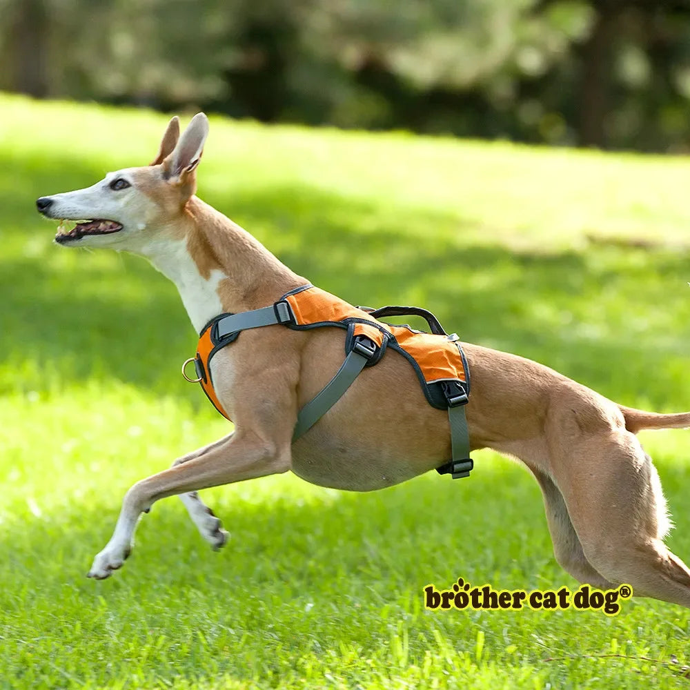 Pet Dog Harness Walk Vest For Big Large Dogs Adjustable Strong Outdoor Padded Travel Reflective Harness Pitbull Dropship Perro