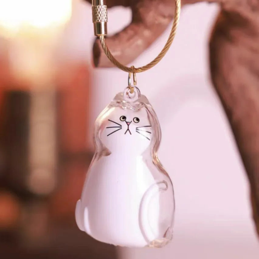 Pet Hair Storage Box Transparent Keepsake Container for Cat Fur DIY Decoration Memorial Gift for Pet Lovers Home Display Use
