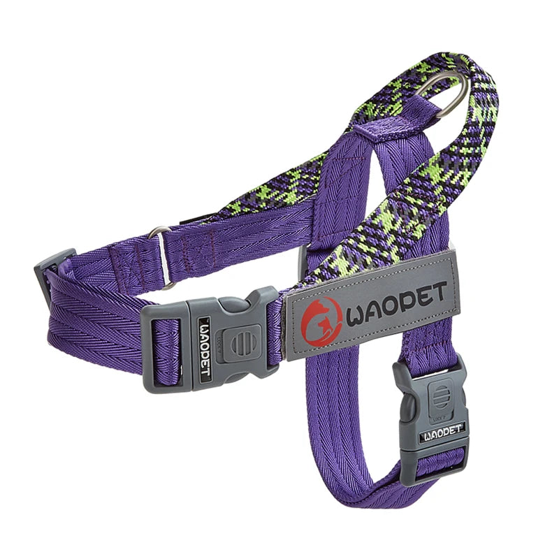 Pet Fashion Dog Harnesses For Medium And Large Walking Dogs Portable New Design Safety Chest Harness Colorful Collar Accessories