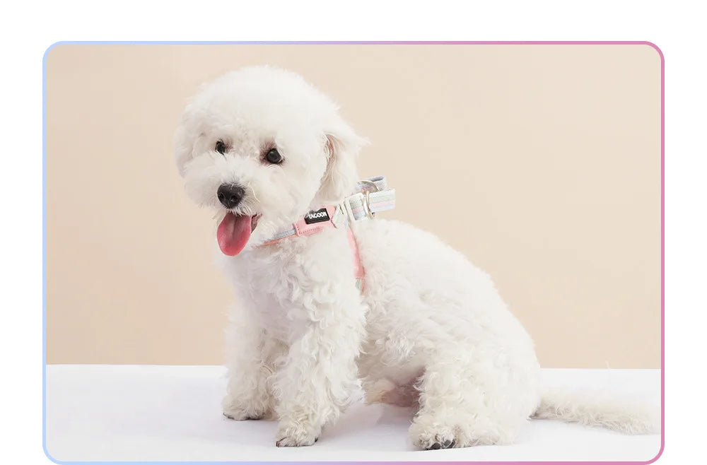 3PCs Pet Dog Harness Leash Set with Bags Adjustable V-shaped Puppy Harness Striped Breathable Dog Chest Strap Dog Accessories