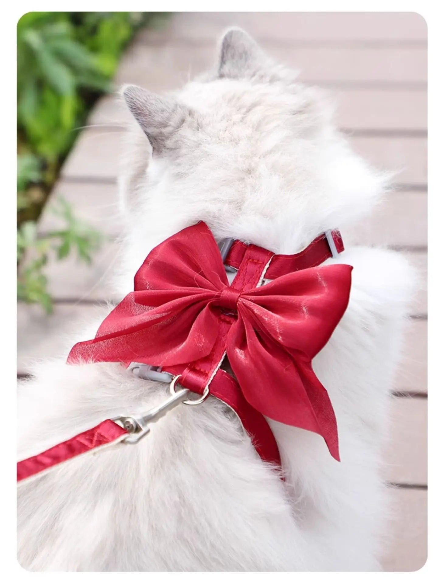 Adjustable Pet Harness with Traction Rope for Cat Kitten Puppy Rabbit Ferret Cute Cat Harness Leash Cat Harness Leash forWalking