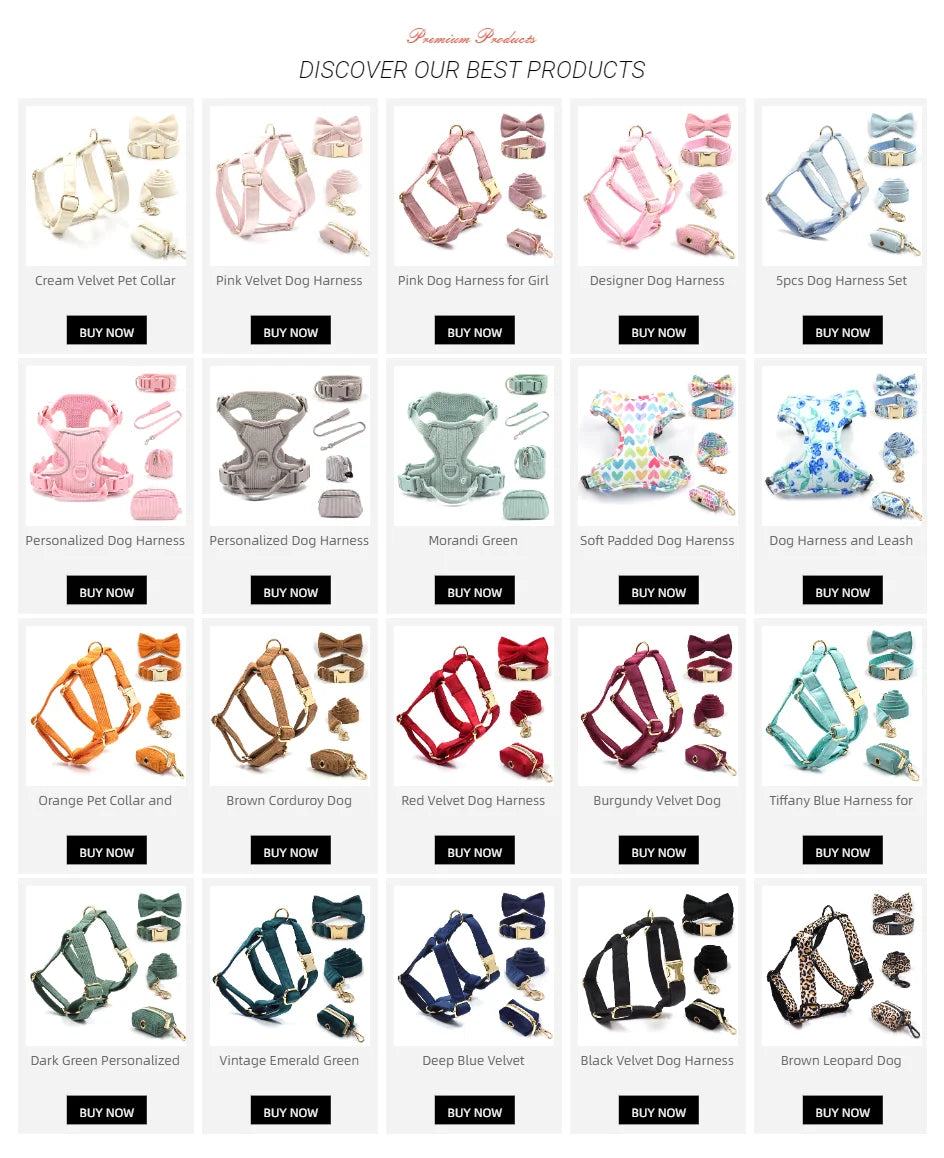 Pink Leopard Dog Harness for Girl Dogs Personalized Name Engraved Pet Collar with Safety Metal Buckles Bowtie Puppy Harness Set