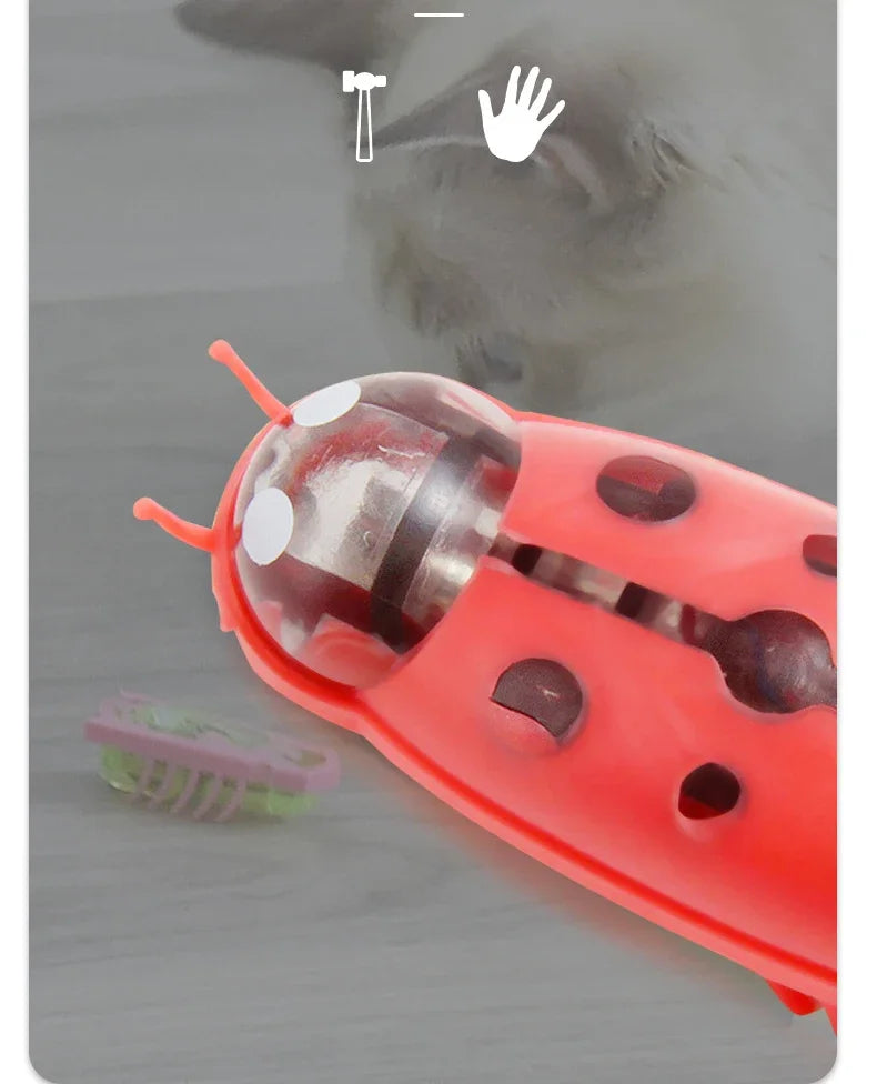 Mini juguete eléctrico para mascotas, perros y gatos, interactivo, con forma de mariquita y escarabajo, ideal para pasear, jugar o jugar.