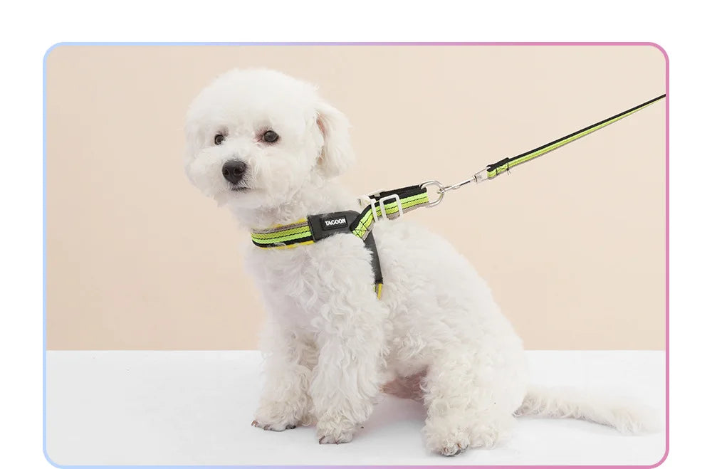 3PCs Pet Dog Harness Leash Set with Bags Adjustable V-shaped Puppy Harness Striped Breathable Dog Chest Strap Dog Accessories