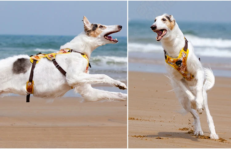 NO PULL Pet Dog Harness Adjustable Reflective Dog Chest Vest For Small Large Dogs Outdoor Training Protective Pet Supplies