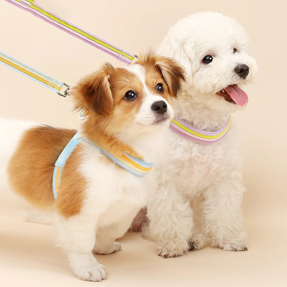 3PCs Pet Dog Harness Leash Set with Bags Adjustable V-shaped Puppy Harness Striped Breathable Dog Chest Strap Dog Accessories